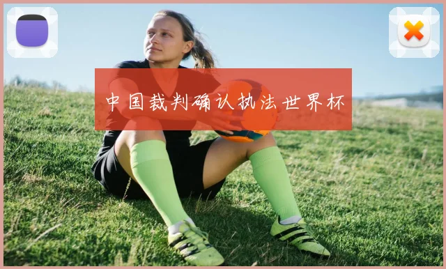 中国裁判确认执法世界杯