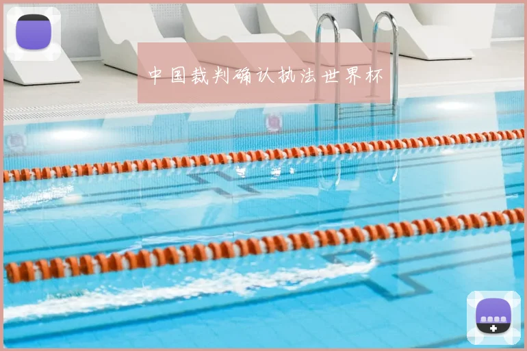 中国裁判确认执法世界杯