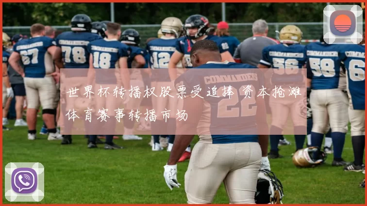 世界杯转播权股票受追捧 资本抢滩体育赛事转播市场
