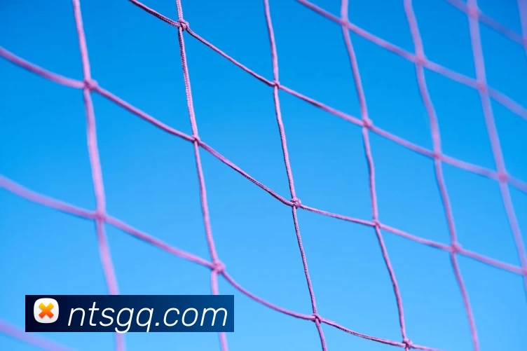 开云app最新版下载 - 开云(中国)APP 封面图